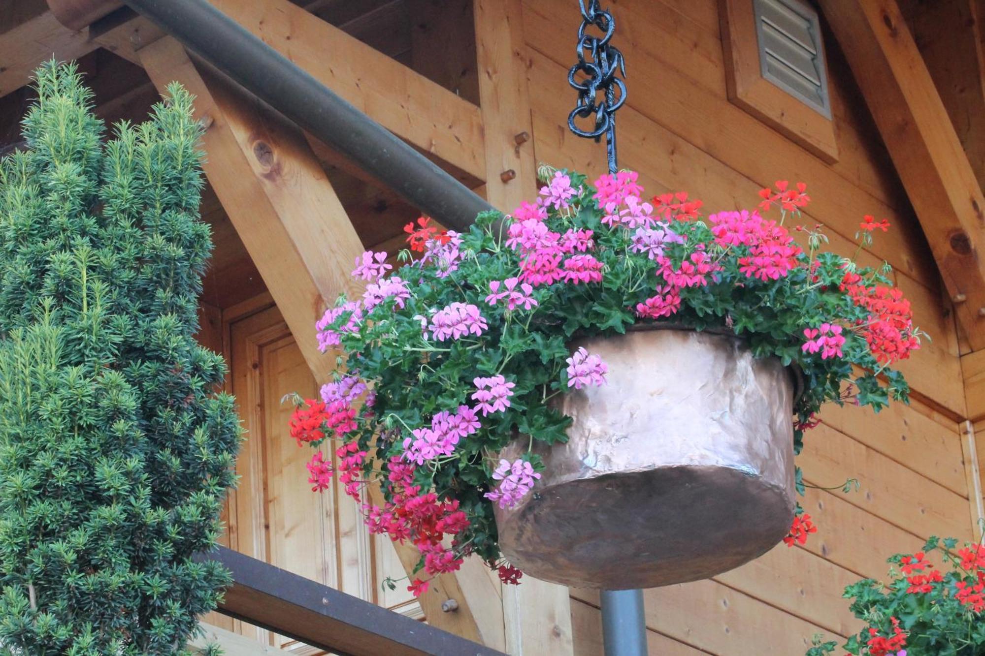 Le Chalet Des 3 Ours Neuvecelle Exterior foto